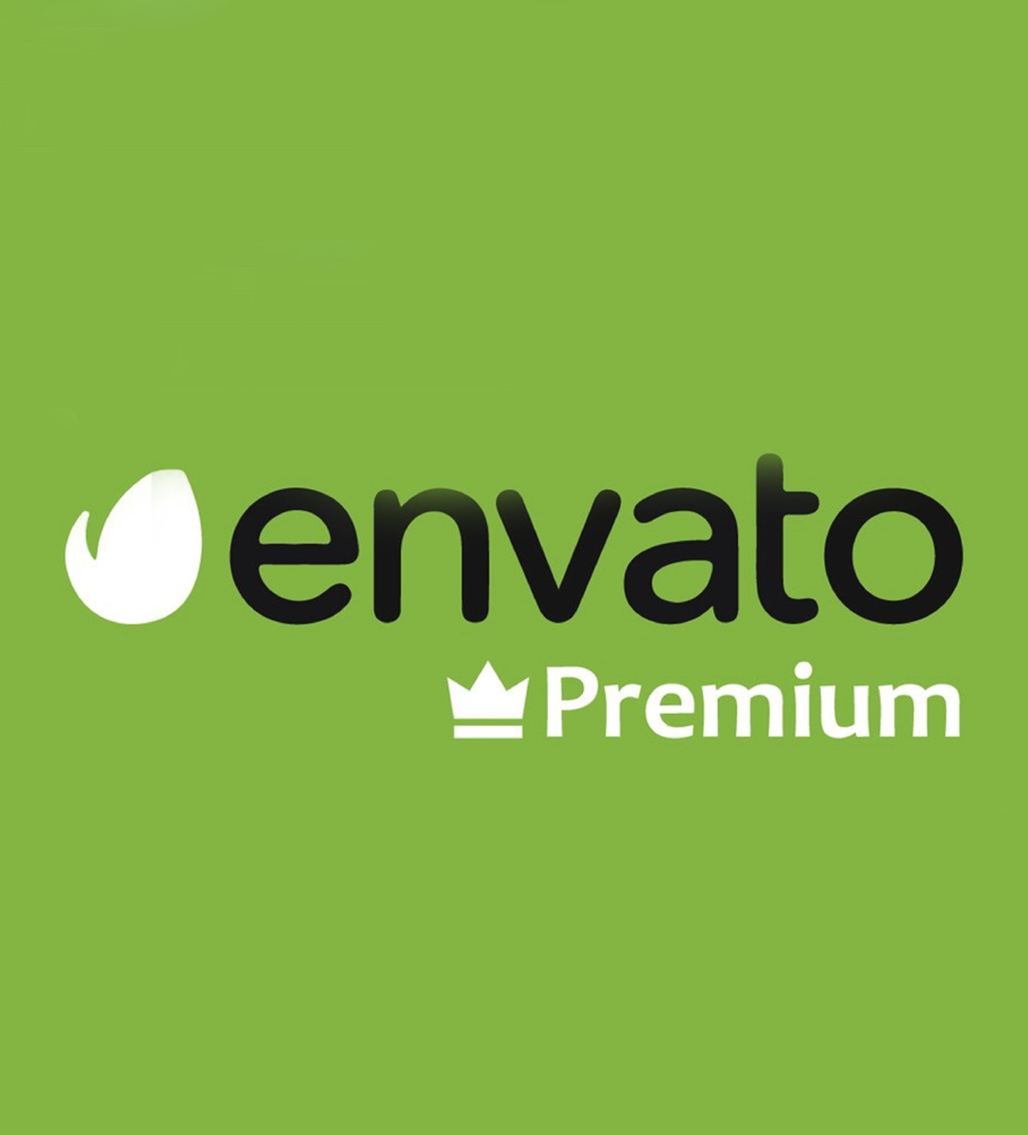 Premium Assets From Envato Marketplace
